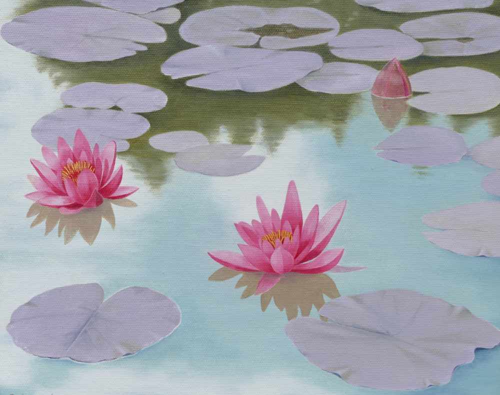 Dilys_Benjafield-water_lilly