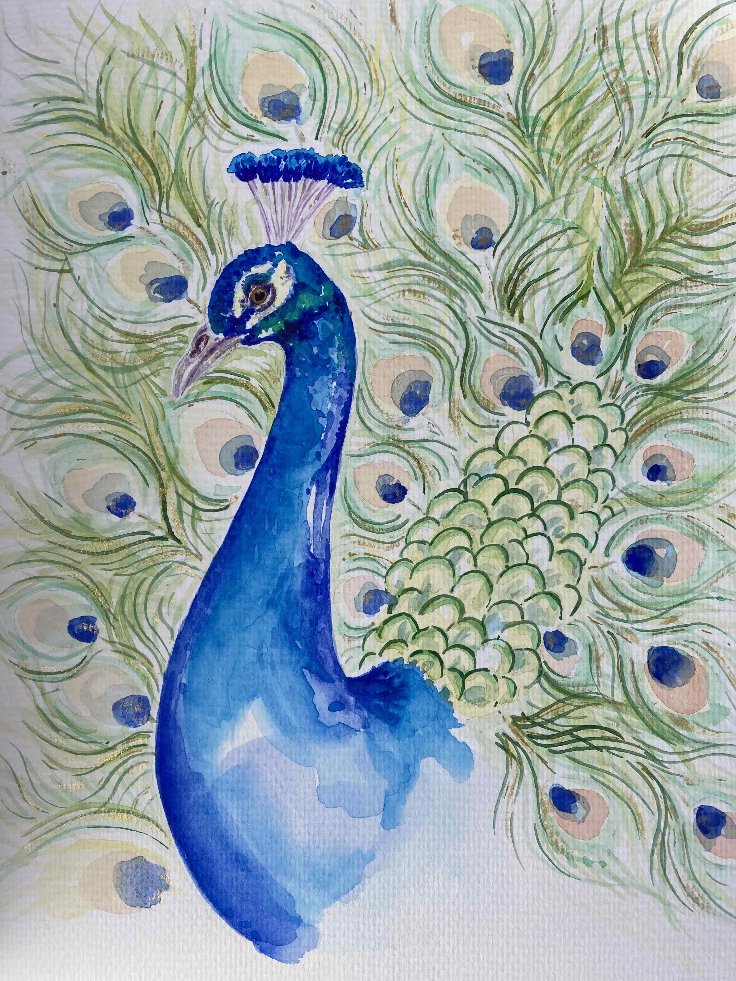 IMG Peacock 4