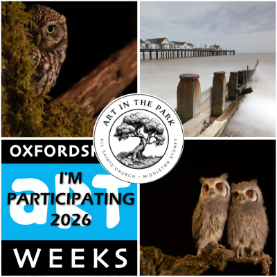 Graham_OAW2026_400_with_artweeks image ban small