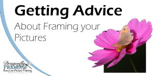 Getting advice