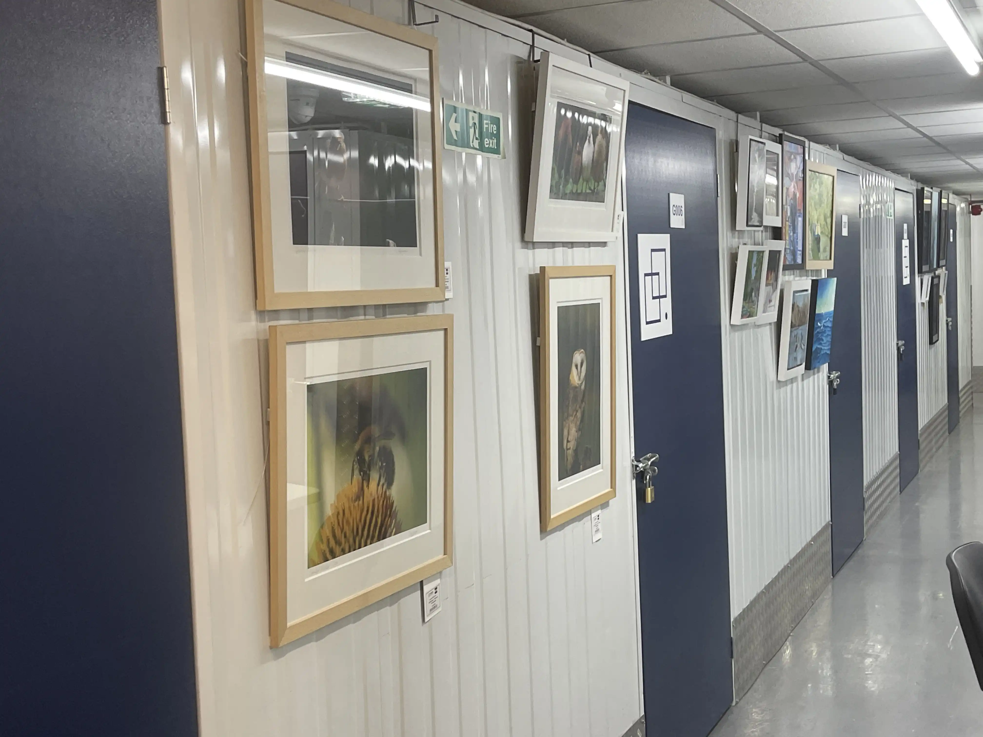 miranda m markham img 5363